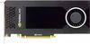 NVS 810