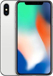 iPhone X