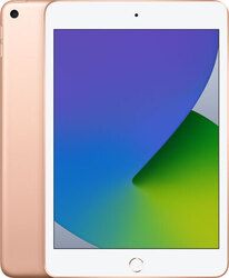 iPad mini 5