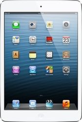 iPad mini