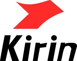 HiSilicon Kirin 990E 5G
