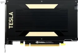 NVIDIA V100 FHHL