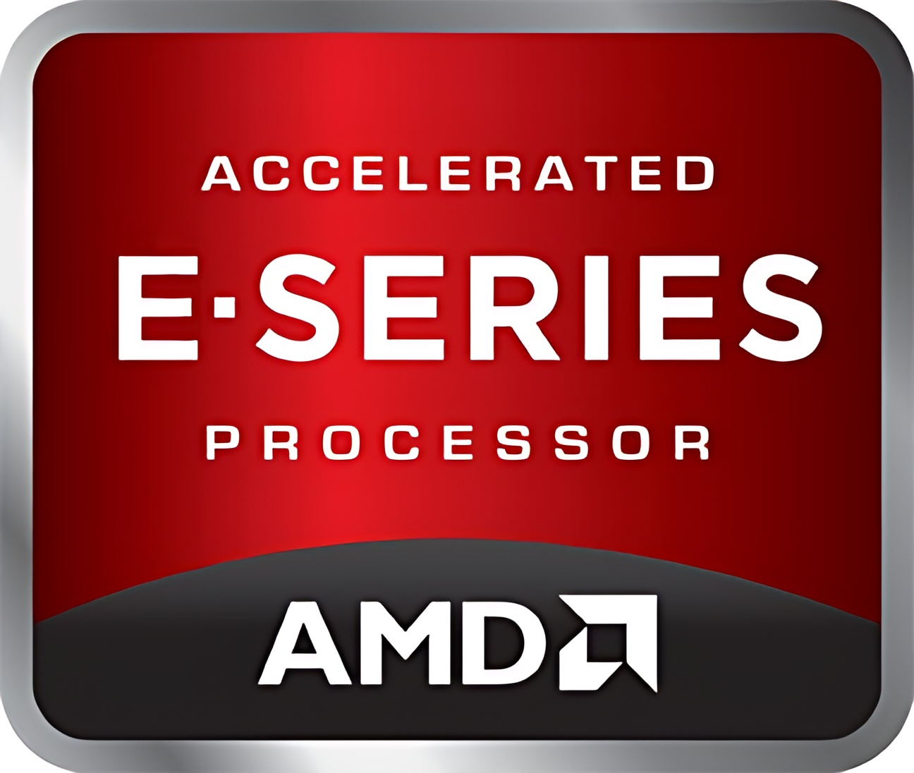 AMD E-300