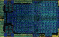 AMD Neo Die