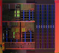 AMD Newcastle Die