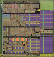 AMD Palomino Die