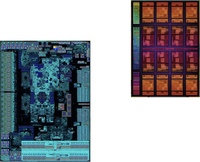 AMD Vermeer 1CCD Die