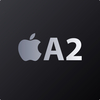 Apple A2 Branding Badge