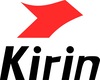 HiSilicon Kirin 9010 Branding Badge