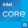 Intel Core i5-10210Y Branding Badge