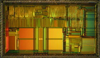 Intel 80486 Die