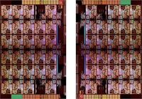 Intel Cascade Lake-SP-2XCC Die