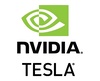 NVIDIA Tesla M6 Branding Badge