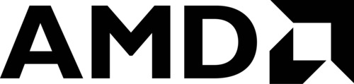 AMD 3020e