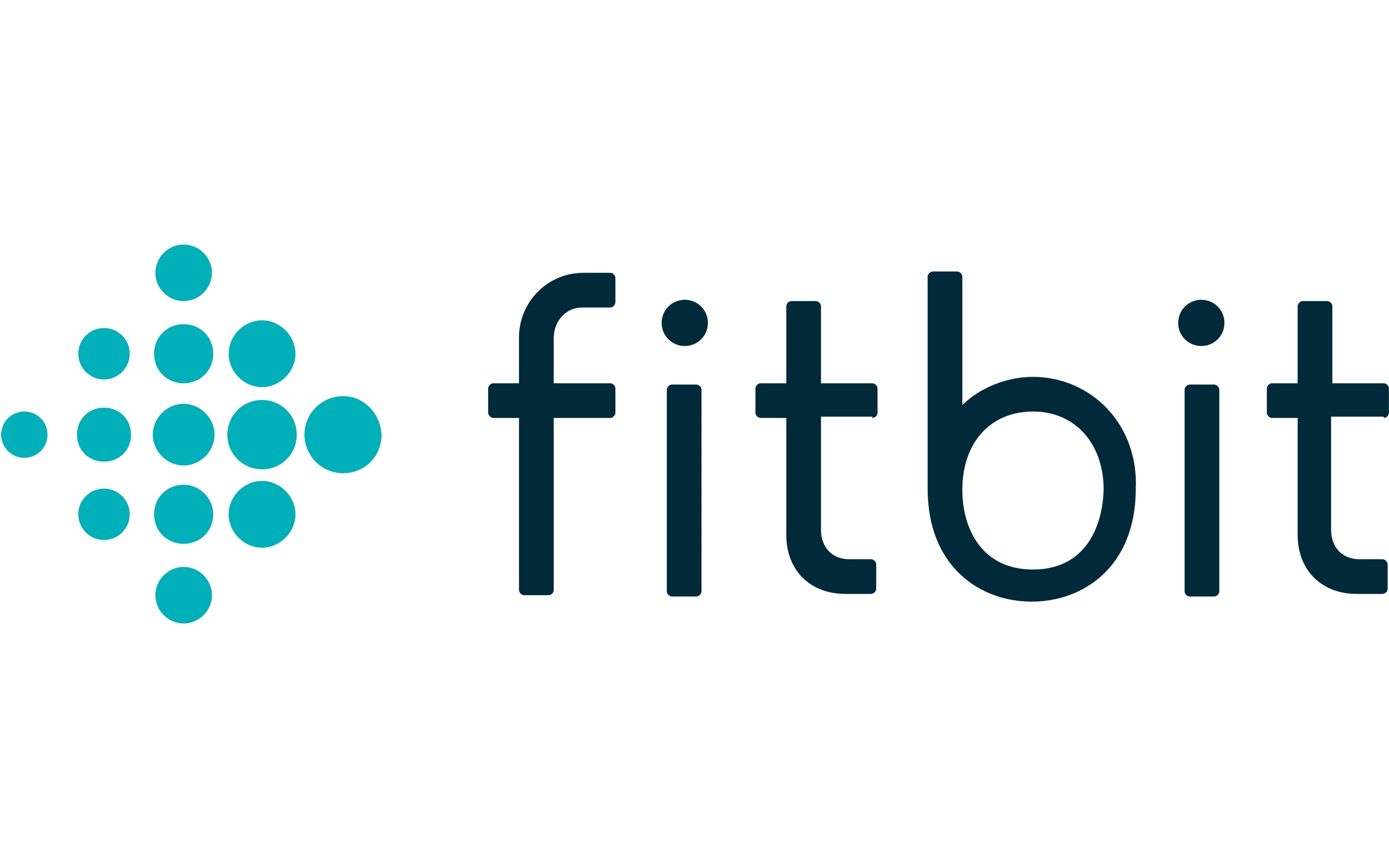 Fitbit Logo