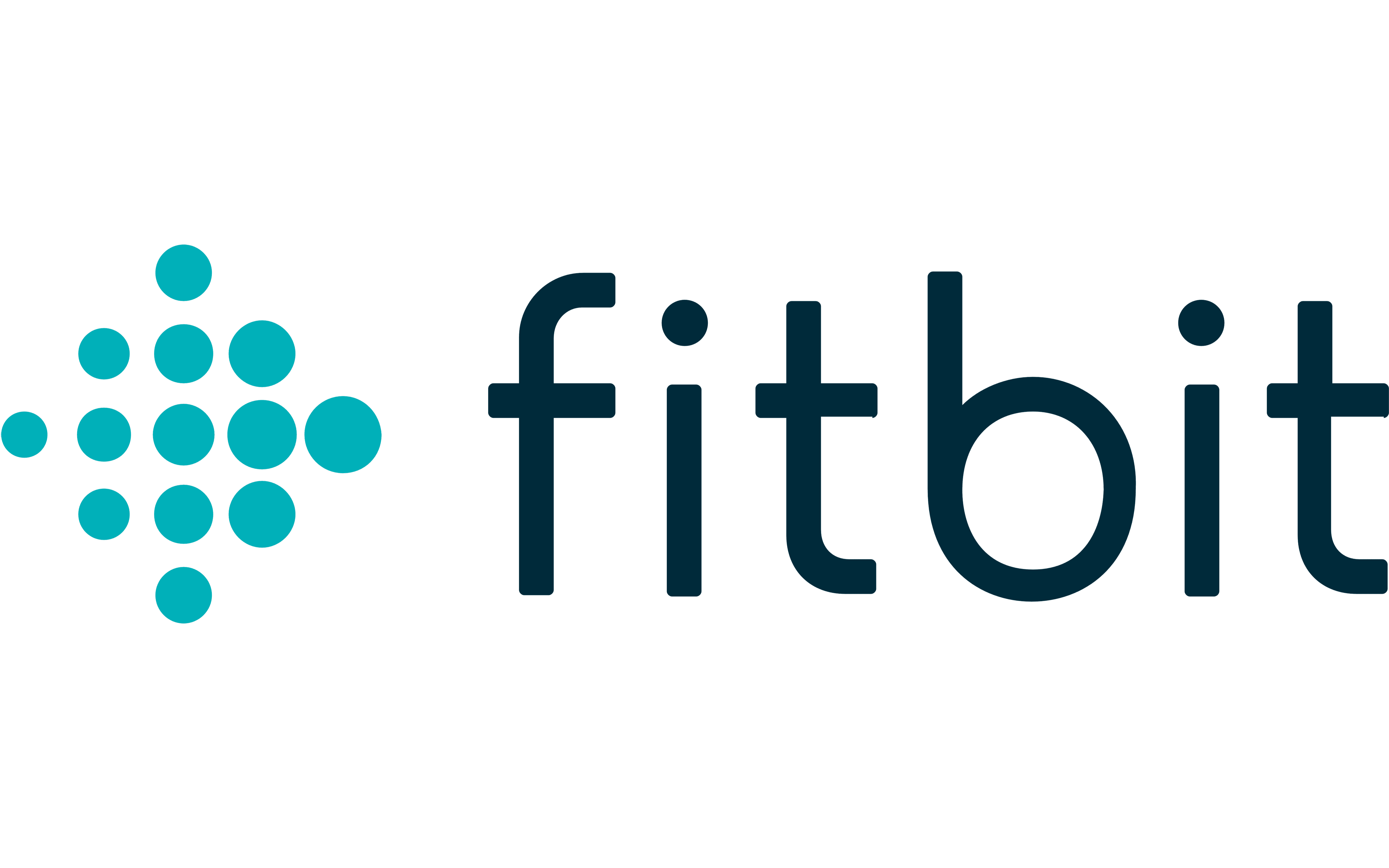 Fitbit Logo