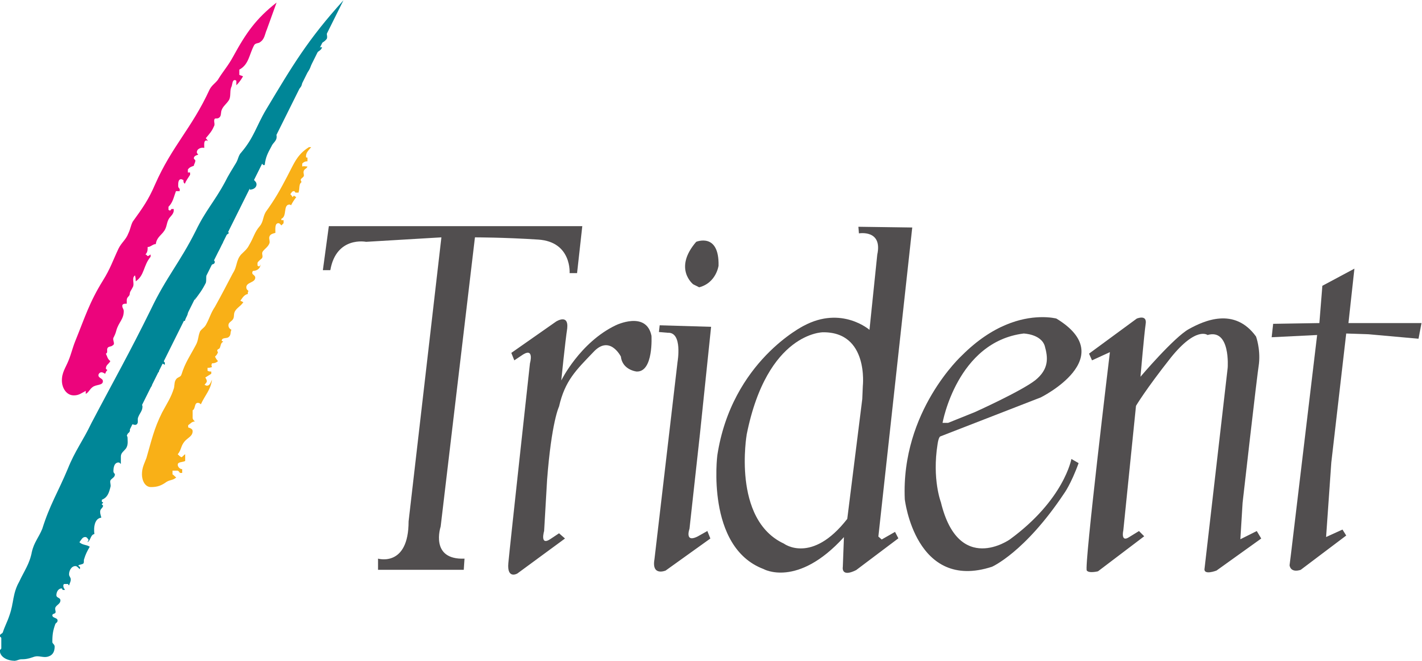 Trident Logo